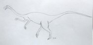 Theropod dinosaur