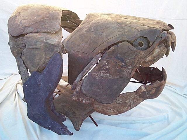 Devonian Armored Fish