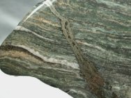 Gunflint Stromatolites from Canada