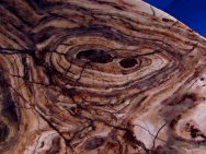 2.3 billion year old stromatolites from Michigan